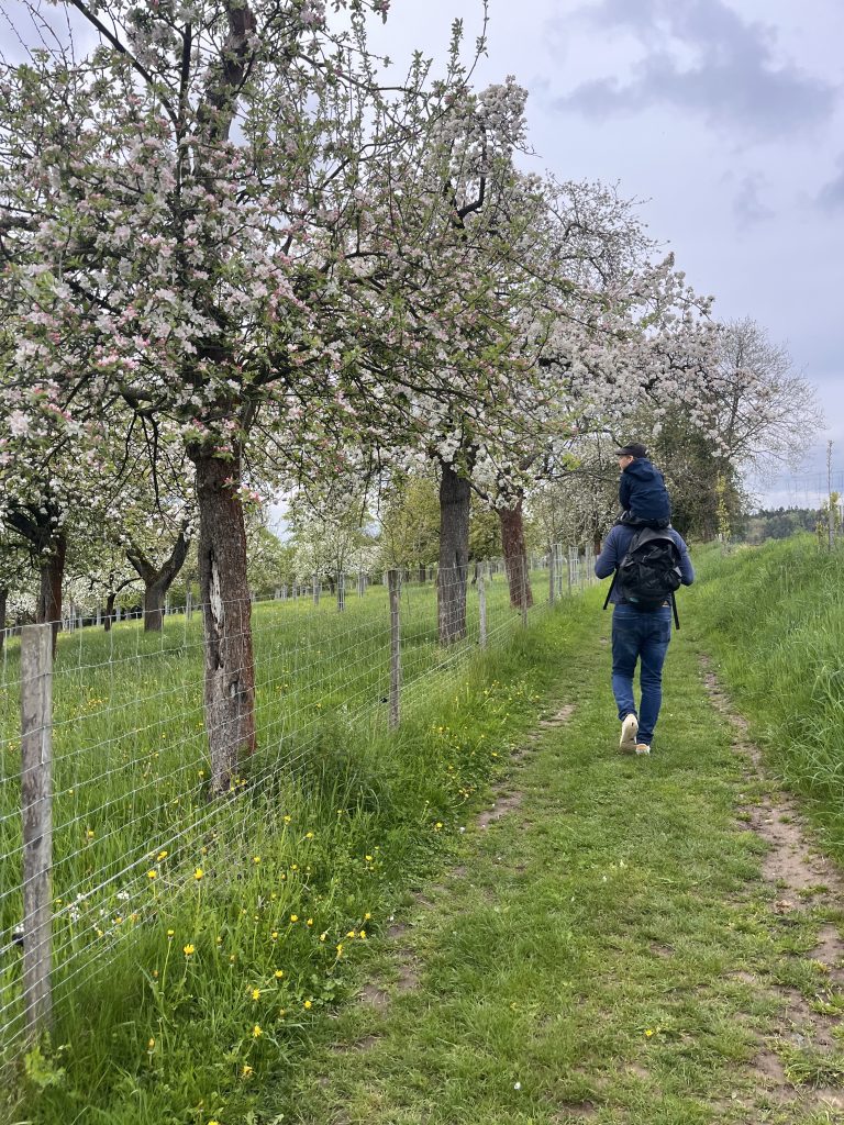 Obstwiesenspaziergang am Schloss Thürmsdorf